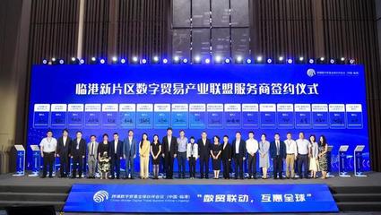 對接DEPA關系協定，推動數字經濟開放發展——“數貿聯動，互惠全球”跨境數字貿易全球伙伴會議在臨港成功舉辦